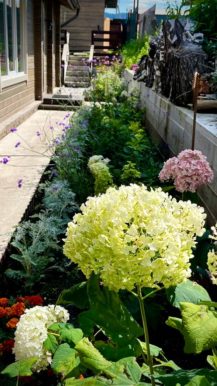 Наш уютный гостевой дом Катунская Синица