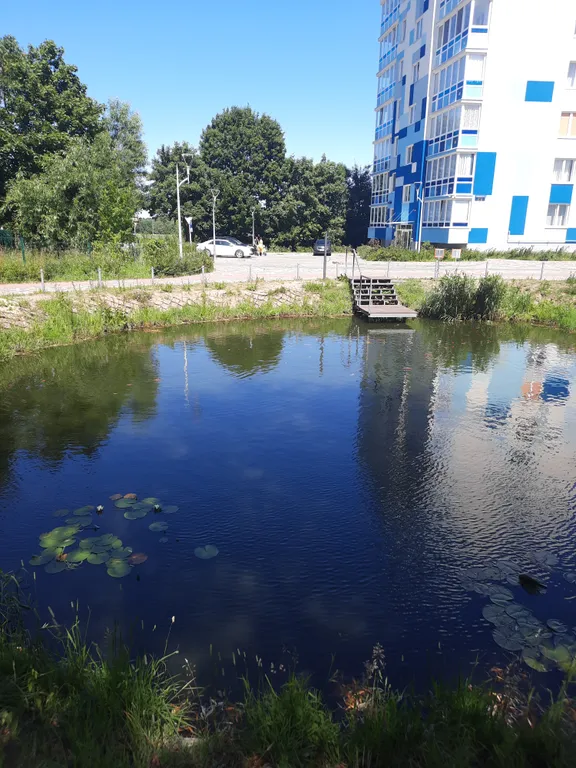 Квартира Уютная, современная квартира на море — Светлогорск