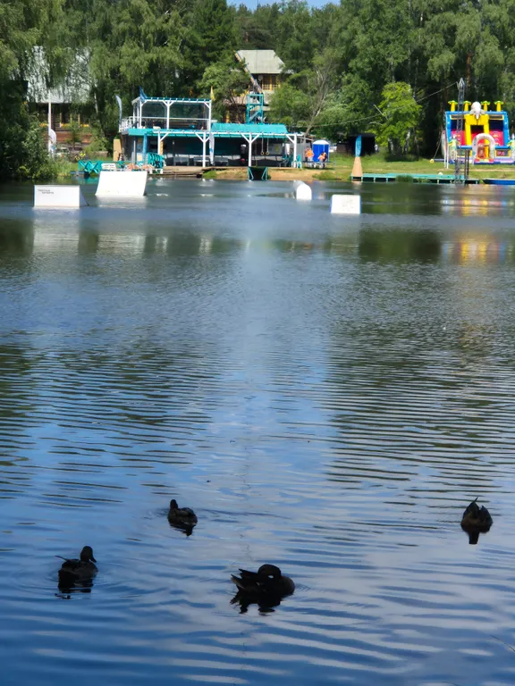 Квартира в парке с видом на пруды и лес