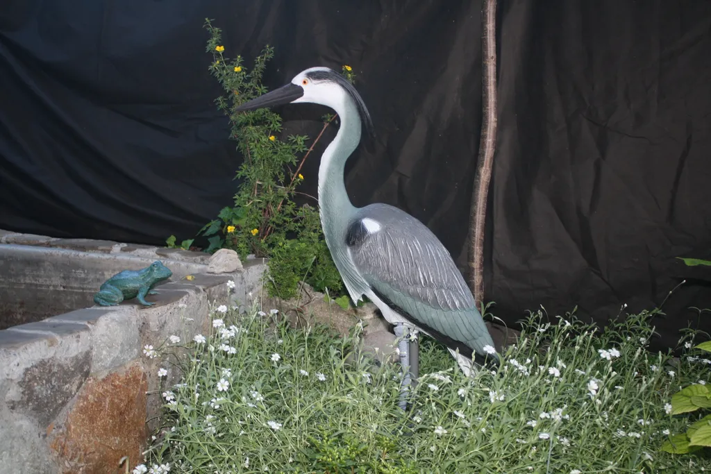 Уютный дом в центре города