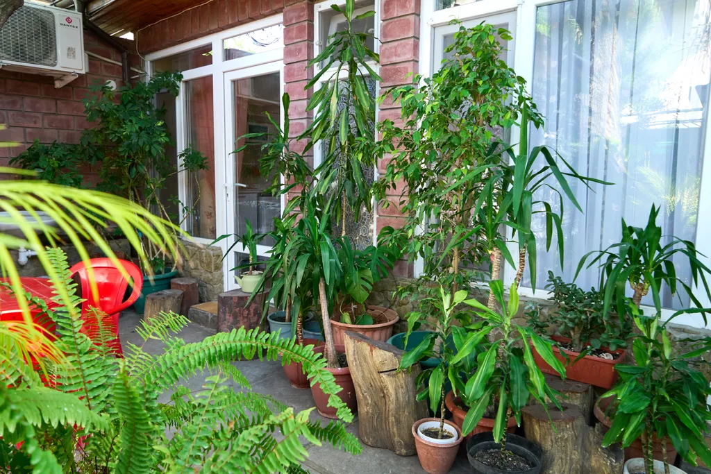 Уютный номер с удобствами рядом с морем