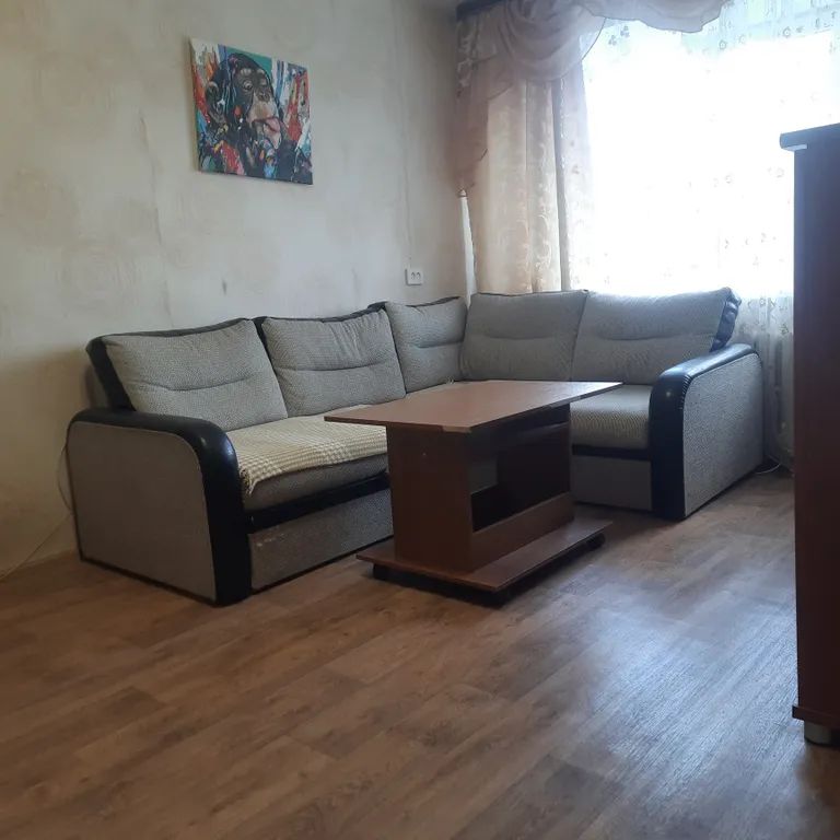 Добрая однушка в центре города