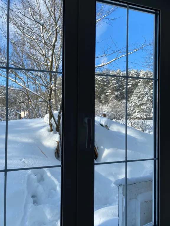 Уютный дом с видом на лес