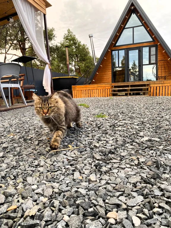 Дом с банным чаном