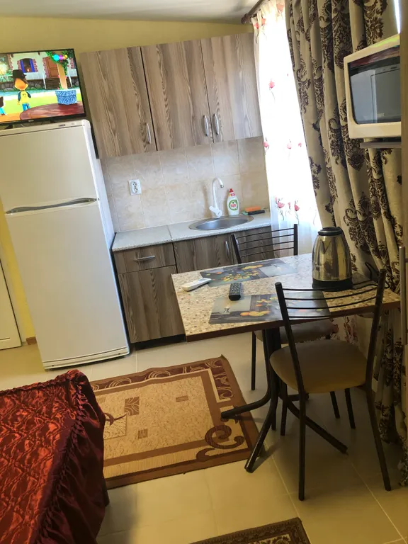 Двухместная студия со своей ванной комнатой и кухней