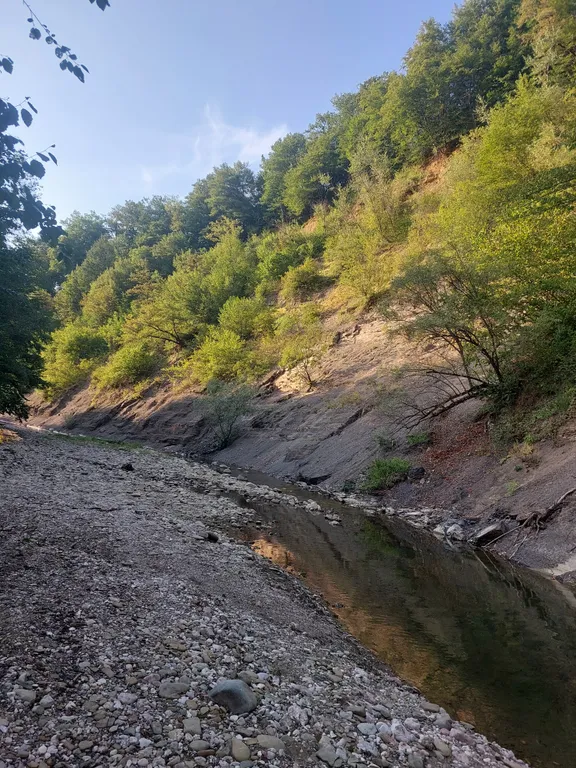 Усадьба Заповедная