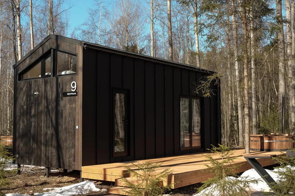 Коттедж Уютный дом в лесу до 4-х с купелью фурако и мангалом — Глубокое (Красносельская с/п)