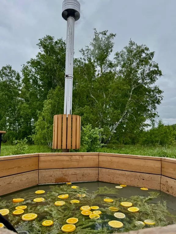 Уютный дом в лесу