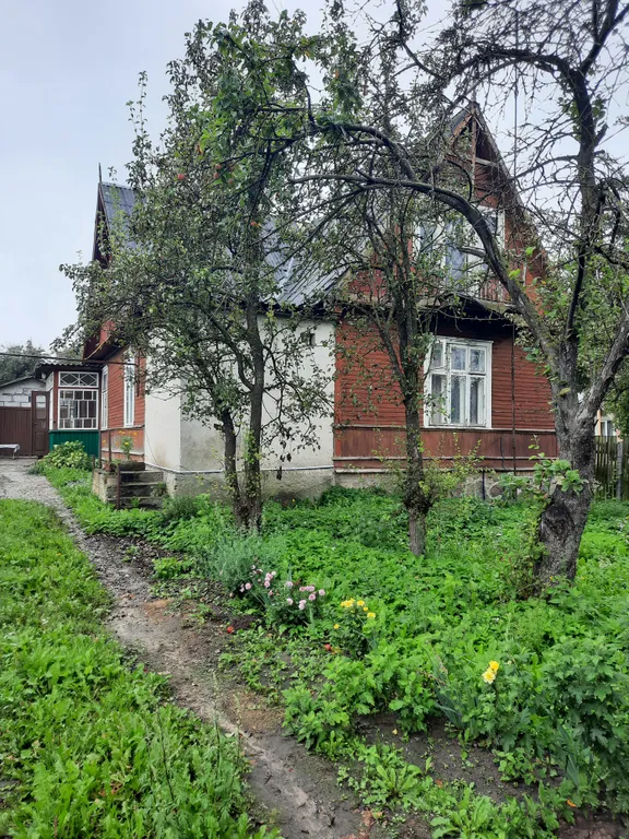 Дом в центре