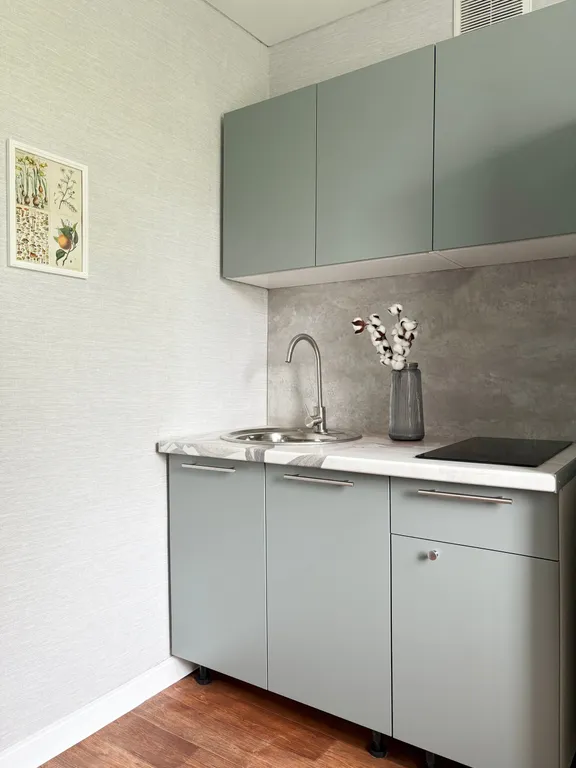 Квартира Двухкомнатная квартира в историческом центре города — Красноярск