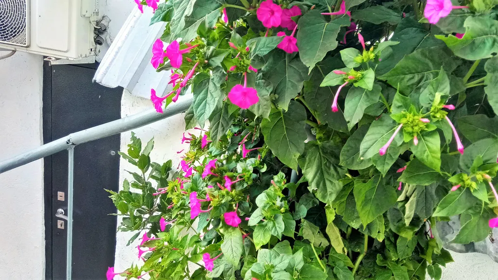 Коттедж Коттедж-студия с двориком в 5-6 минутах к пляжу и набережной — Ялта