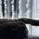 Нина