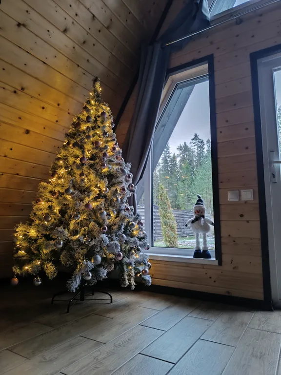 Гостевой дом Infinity Forest Карелия