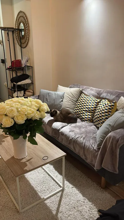 Хорошая квартира 75012 в безопасном районе