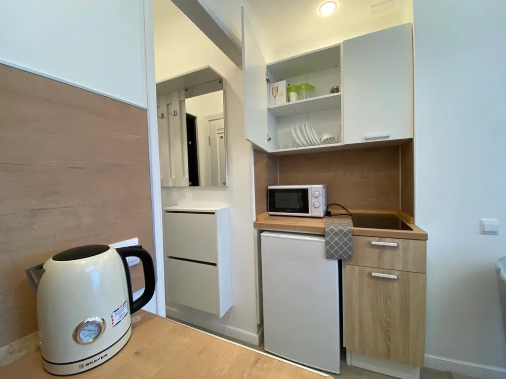 Предлагаем изящную студию