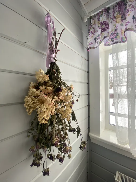 Домик в Плесе