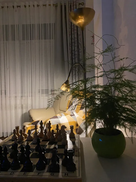 Уютная квартира на берегу моря