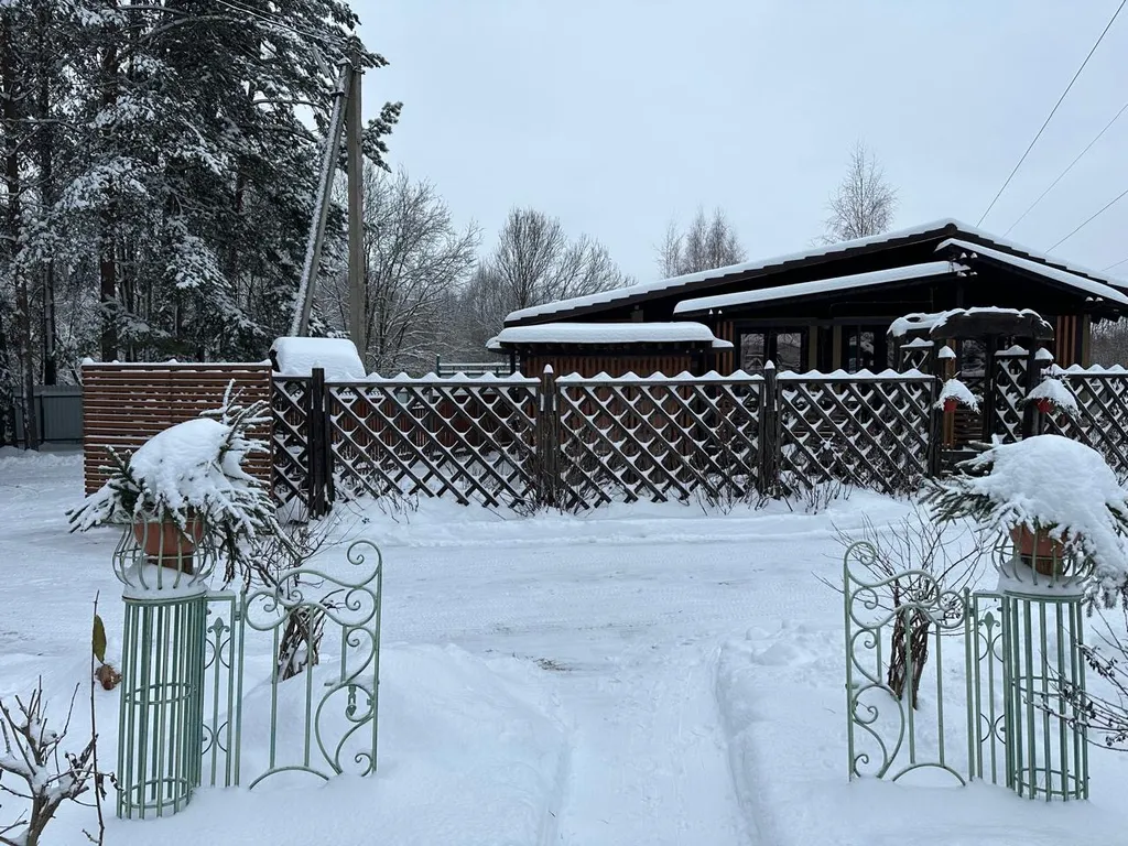 Шале в сосновом бору