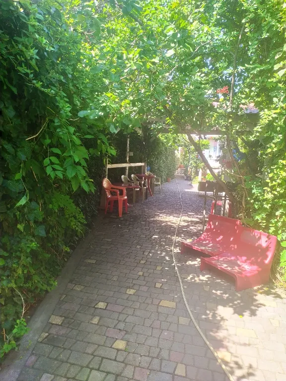 Отдых на берегу моря