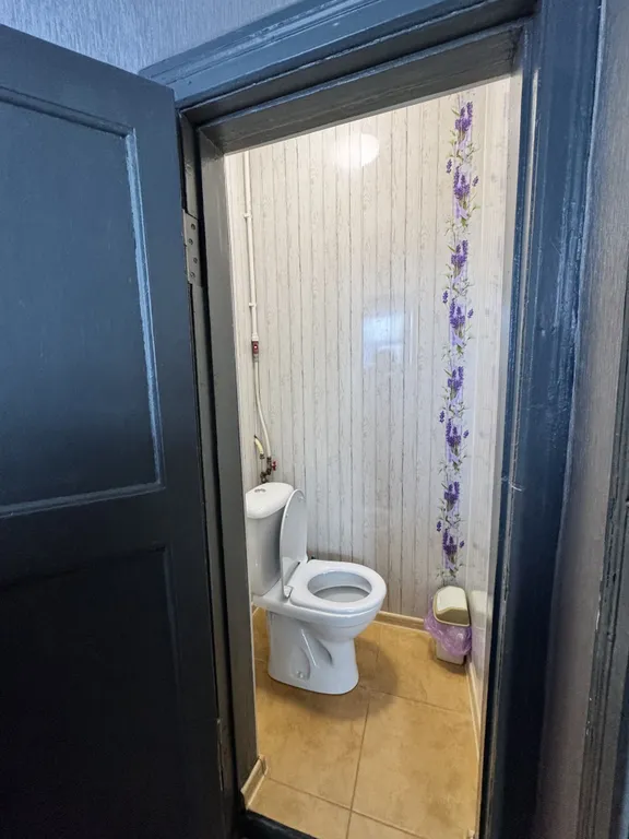 1-комнатная квартира со своим зеленым двориком в тихом центре