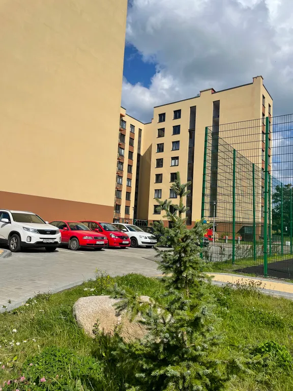 Квартира 1-комнатная Квартира — Светлогорск