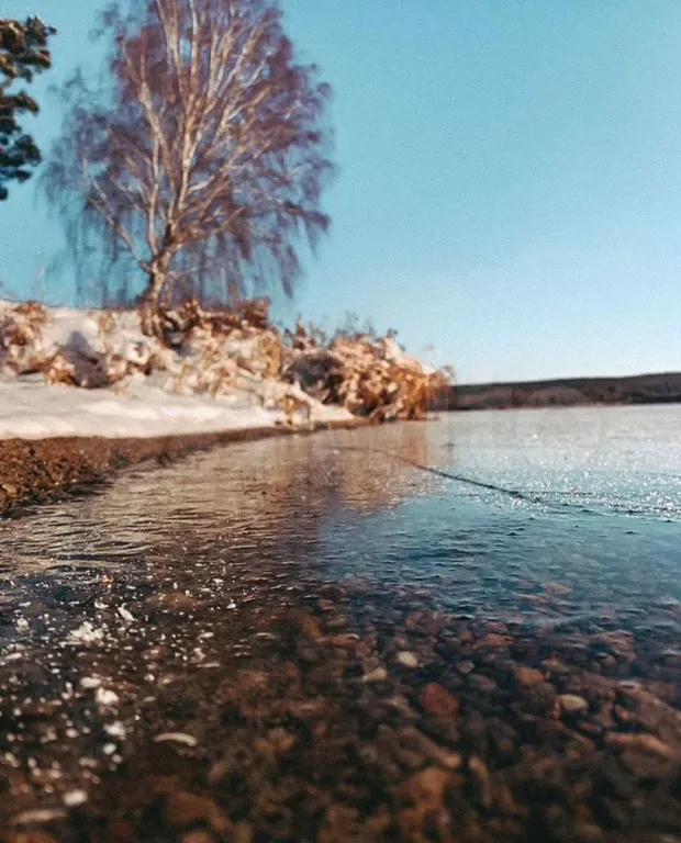 Дом с баней и купелью у леса