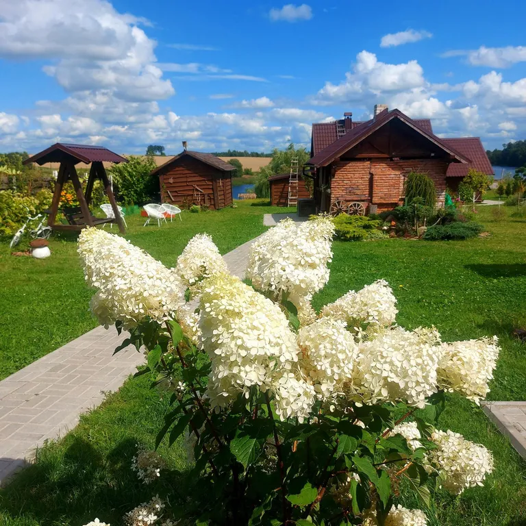 Милый домик в деревне, с видом на озеро