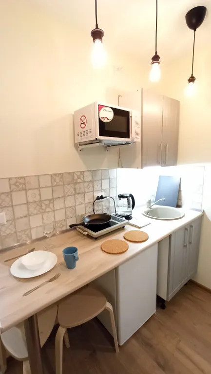 Квартира-студия возле ЖД Вокзала для проживания двоих гостей