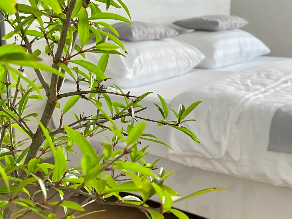 Вилла с видом на море и Олимпийский парк