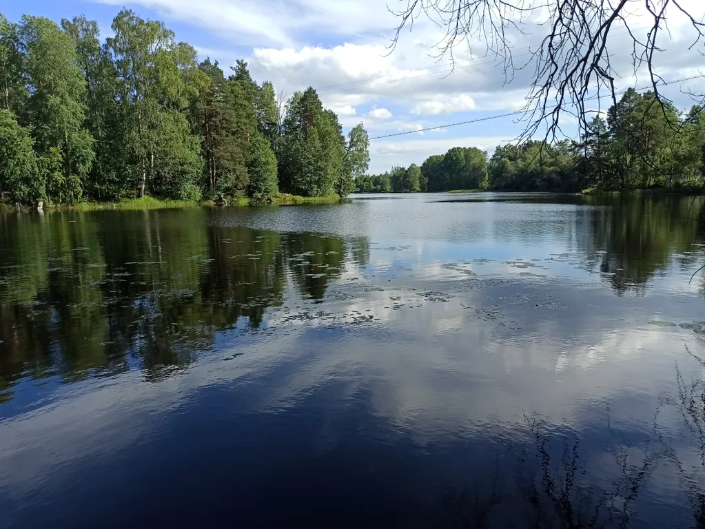 Уютный дом с видом на реку