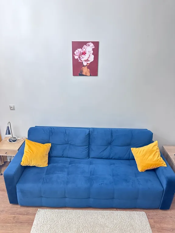 Уютные апартаменты в самом центре города