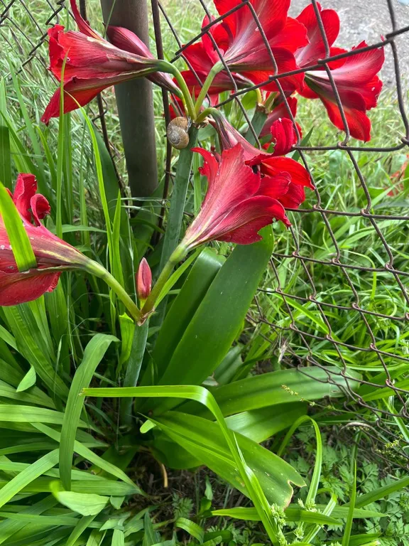 Комната прям у моря