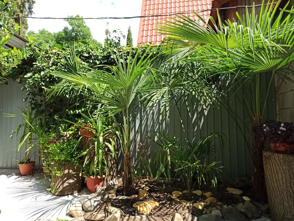 Домик с двориком