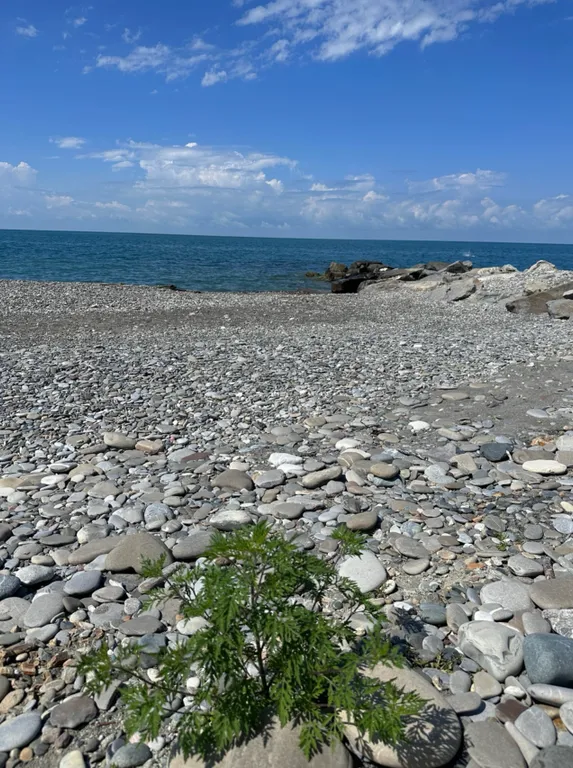 Апартамент с бассейном и балконом
