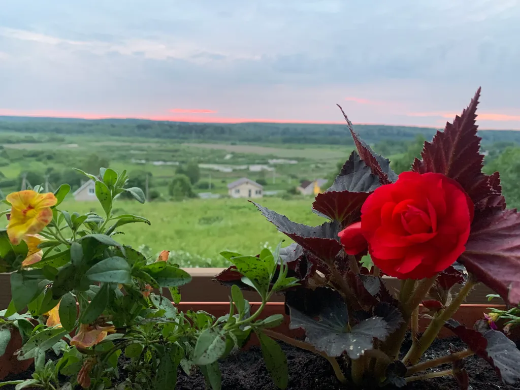 Частный дом сантана сенеж - семейный отдых с комфортом