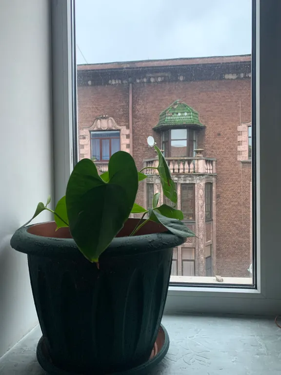 Аутентичная квартира в центре города