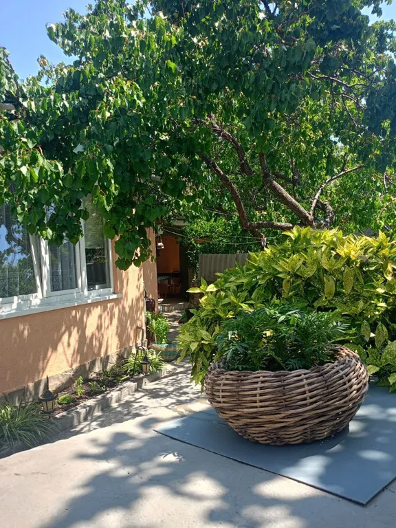 Семейный номер на Коцюбинского № 1