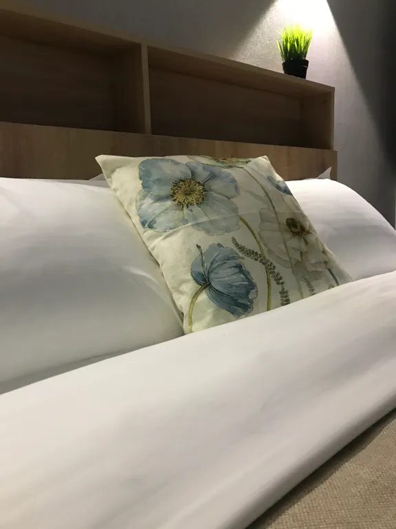 Квартира в центре с красивым видом на Атажукинский парк и горы