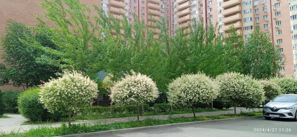 Квартира Уютная квартира рядом с парком Галицкого — Краснодар