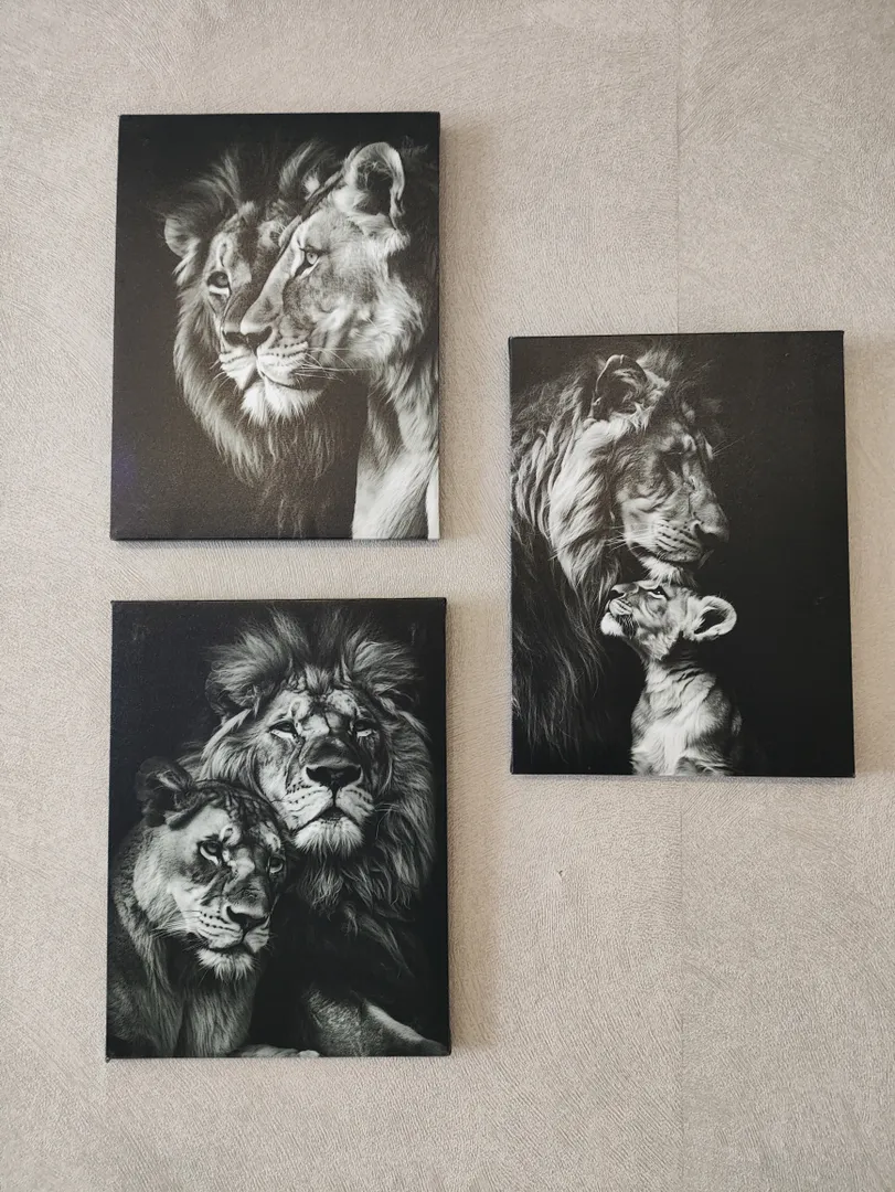 Фото