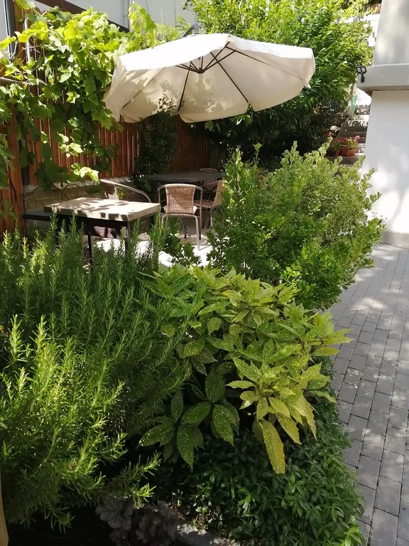 Дом в экологически чистом и красивом месте