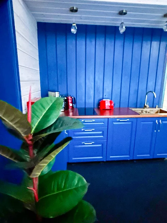 Барн хаус с видом на лес и горы