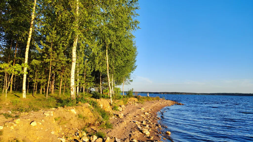 Коттедж Коттедж с баней, чаном и детской площадкой с батутом у озера, в бору — Ланино