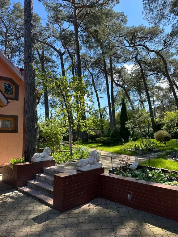 Сказочный домик в лесу, у моря