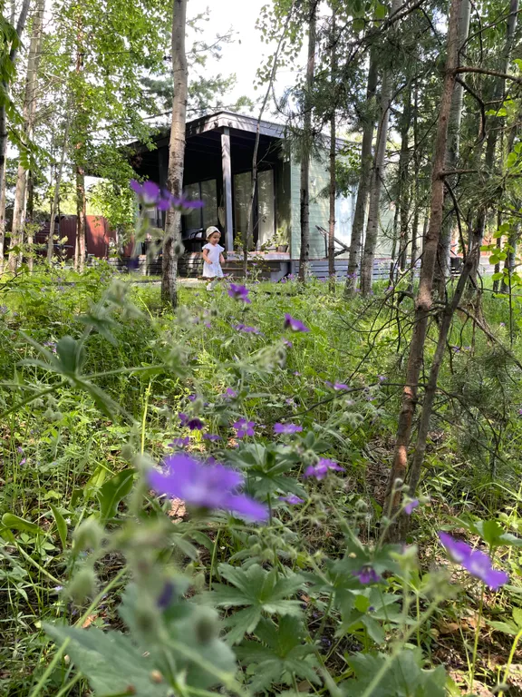 Дом с баней и купелью у леса