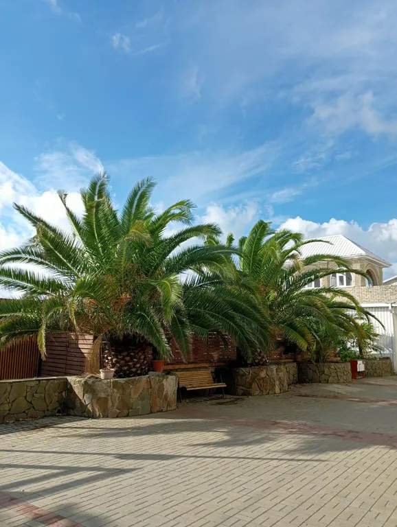 Квартира Комната — Лазаревское