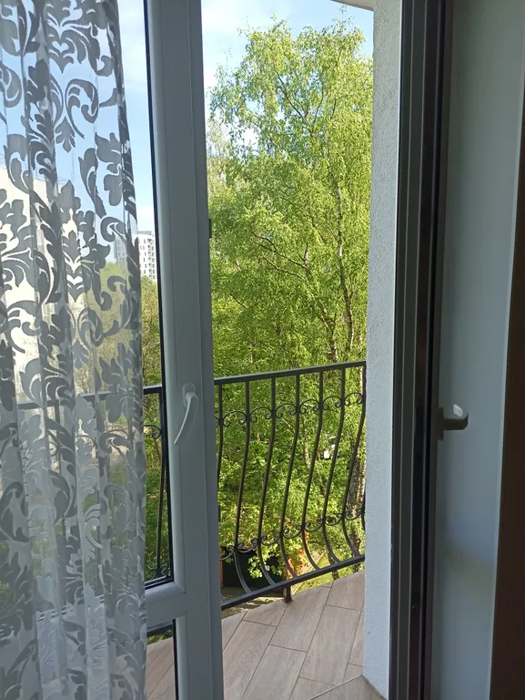 Квартира 1-комнатная Квартира — Светлогорск