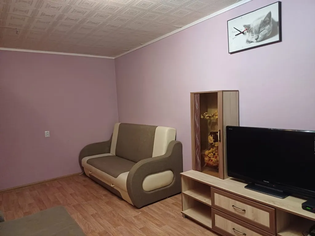 Уютная однокомнатная квартира