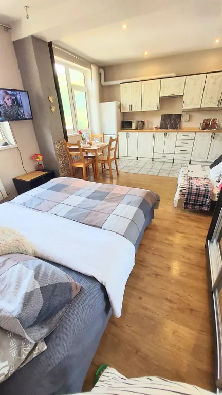 Студия с видом на Горы в центре