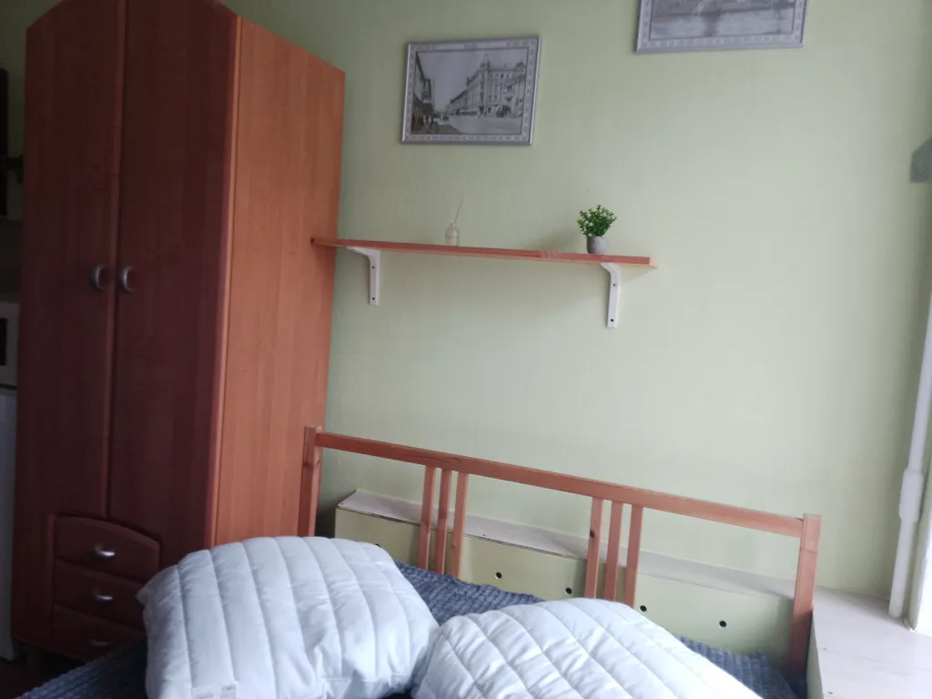Квартира Квартира Студия с видом на канал Грибоедова — Санкт-Петербург